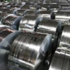 304 316L Stainless Steel Coil & strip