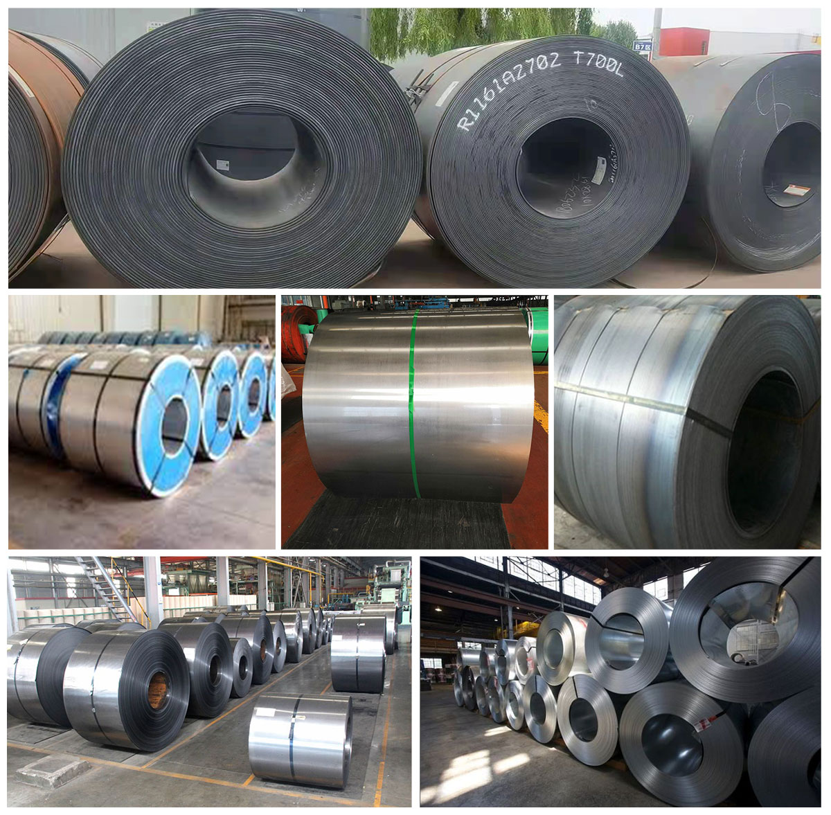 carbon steel coil (22)