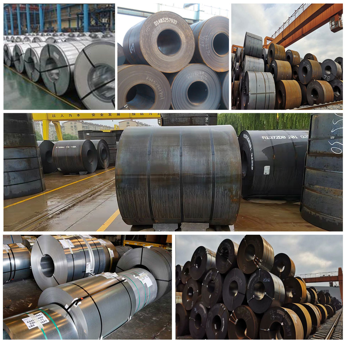 Cold Rolled Steel Coil